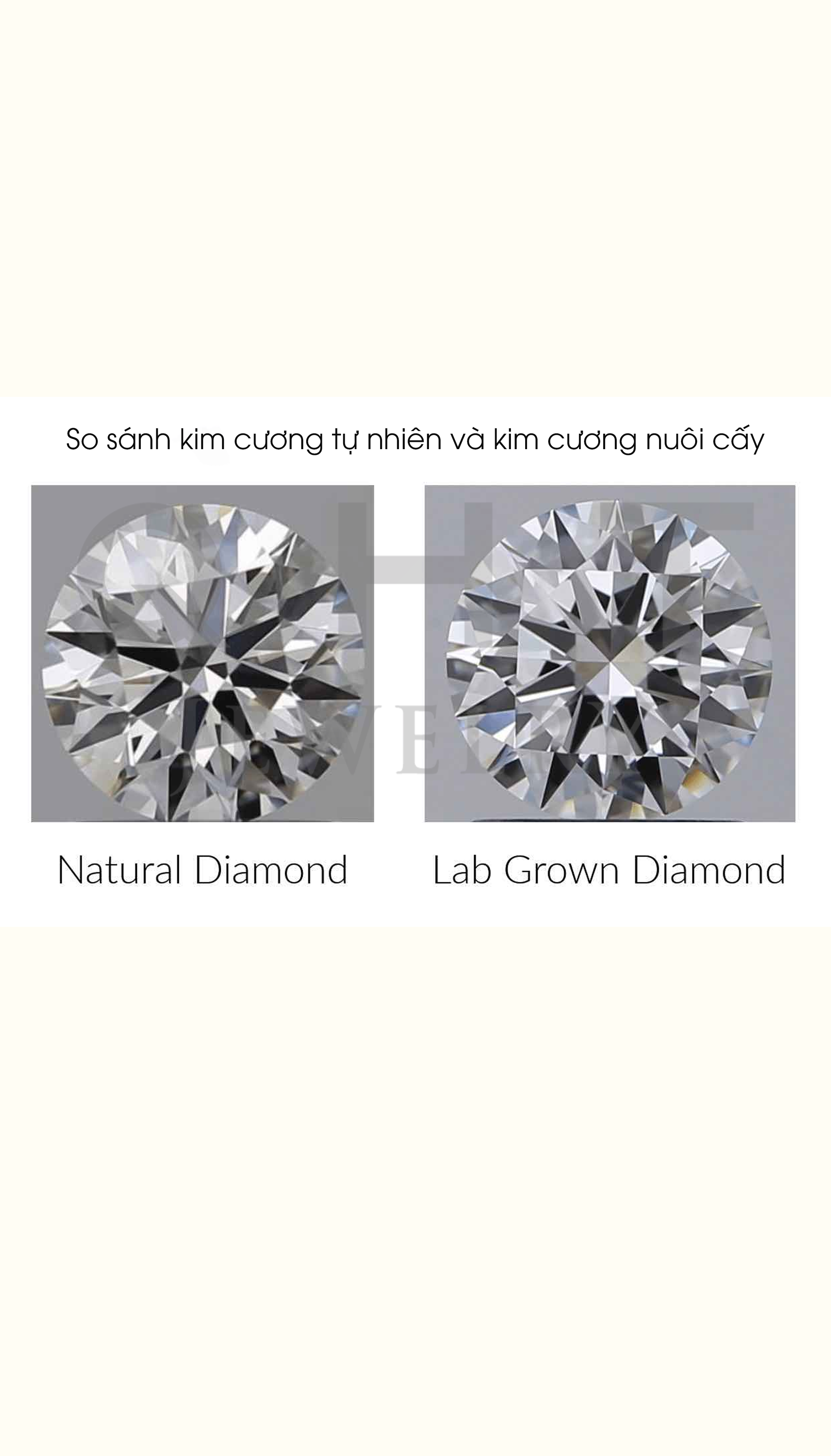 ảnh kim cương lab tự nhiên dọc